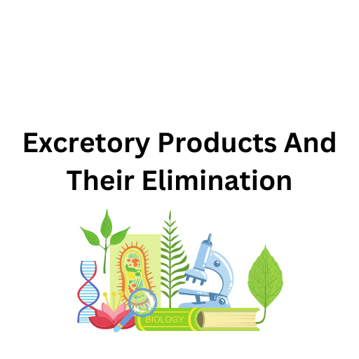 Excretory Products And Their Elimination